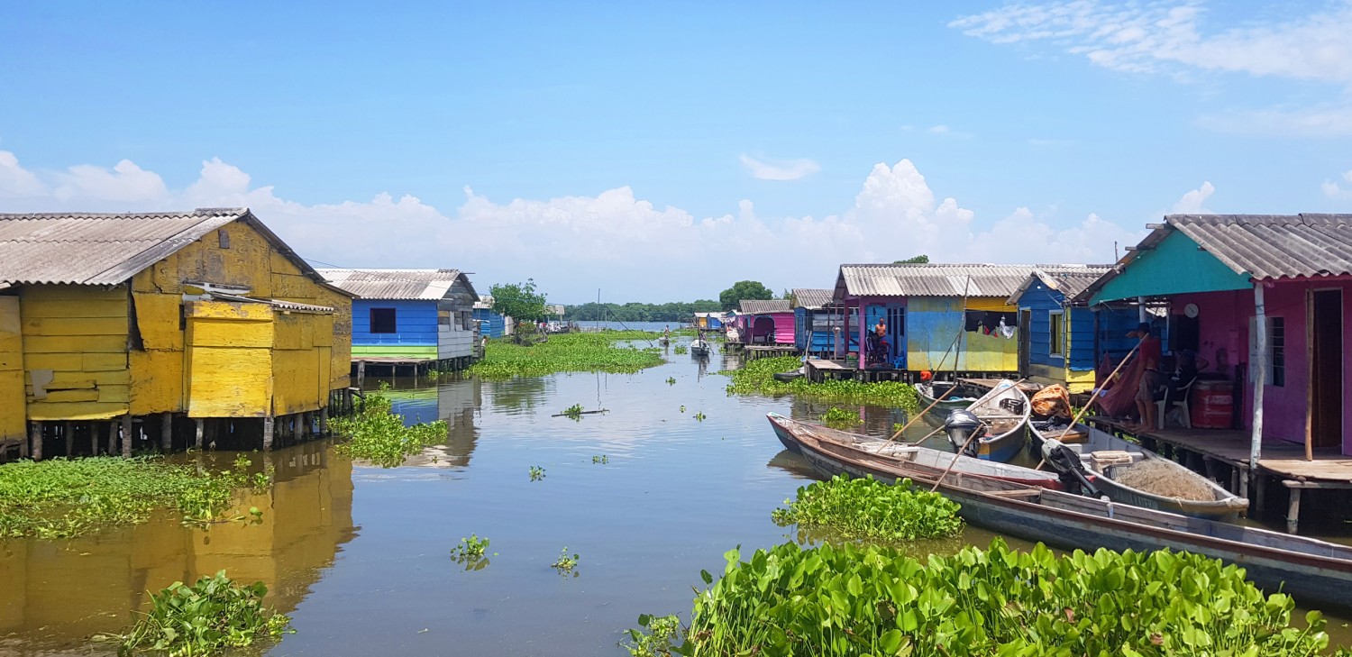 Ciénaga Grande, Santa Marta (Colombia)