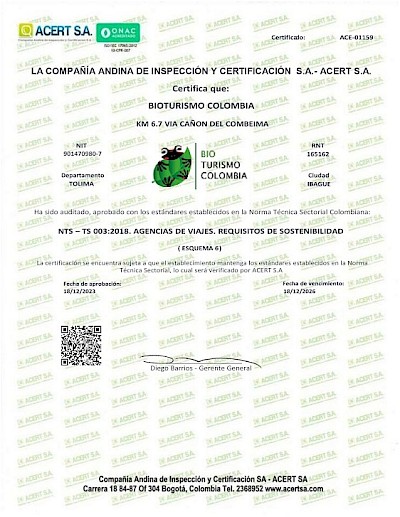 Certificación en Sostenibilidad